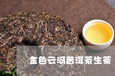 金色云河普洱茶生茶/2023070985957