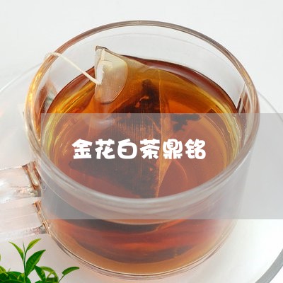 金花白茶鼎铭/2023052449572