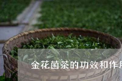 金花菌茶的功效和作用/2023060955159