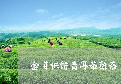 金芽供饼普洱茶熟茶/2023120590403