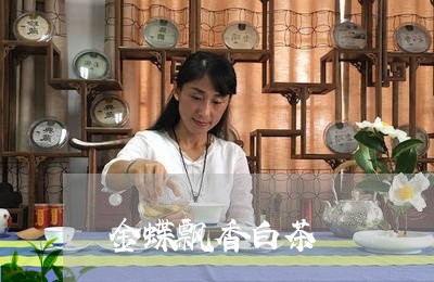 金蝶飘香白茶/2023052497270