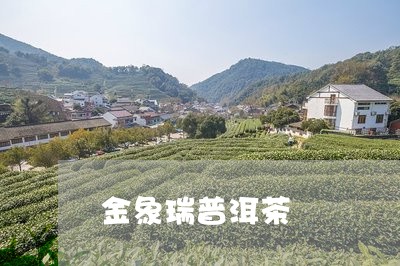 金象瑞普洱茶/2023042767085