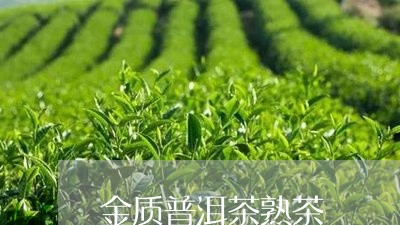 金质普洱茶熟茶/2023110801605