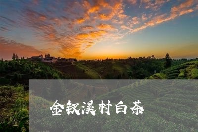 金钗溪村白茶/2023052472624