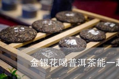 金银花喝普洱茶能一起喝吗/2023051103826