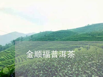 金顺福普洱茶/2023042938515