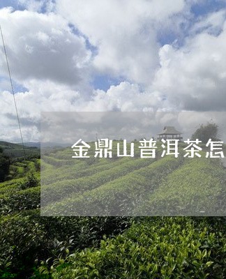 金鼎山普洱茶怎么样泡好喝吗/2023082886372