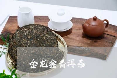 金龙鑫普洱茶/2023042632384