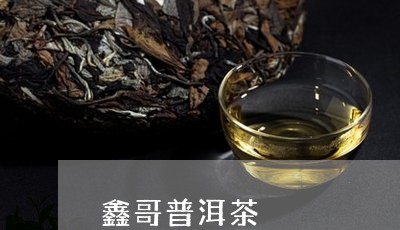 鑫哥普洱茶/2023081504836