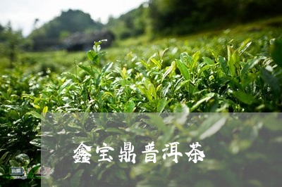 鑫宝鼎普洱茶/2023042894023