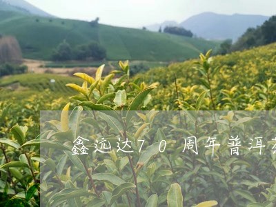 鑫远达70周年普洱茶/2023101774827