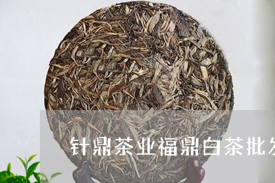 针鼎茶业福鼎白茶批发销售/2023092547262