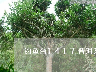 钓鱼台1417普洱茶/2023112498259