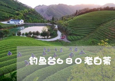 钓鱼台680老白茶/2023071327261