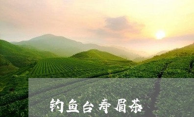 钓鱼台寿眉茶/2023052406060