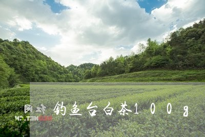 钓鱼台白茶100g/2023071328492