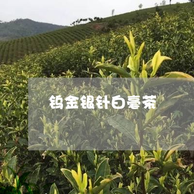 钨金银针白毫茶/2023112349481