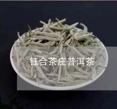 钰合茶庄普洱茶/2023120377150