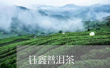 钰鑫普洱茶/2023112648183