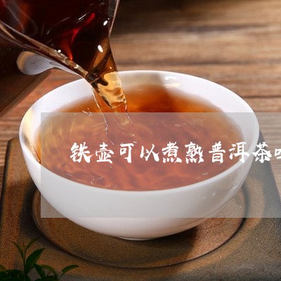 铁壶可以煮熟普洱茶吗/2023062437171