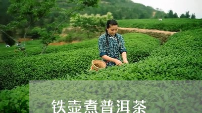 铁壶煮普洱茶/2023042964759