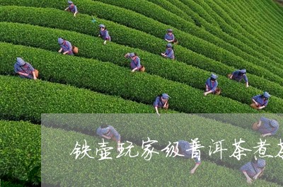 铁壶玩家级普洱茶煮茶/2023100529491