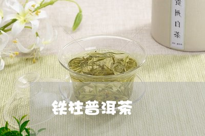 铁柱普洱茶/2023090508082