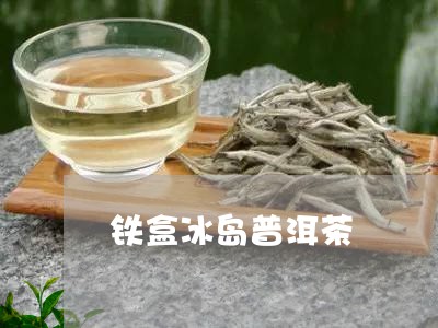 铁盒冰岛普洱茶/2023082660692