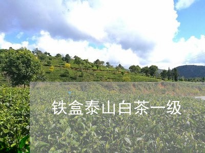 铁盒泰山白茶一级/2023071337375