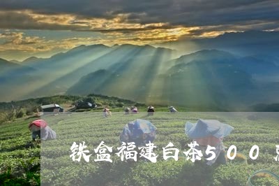 铁盒福建白茶500克/2023092034470