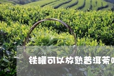 铁罐可以放熟普洱茶吗/2023110877270