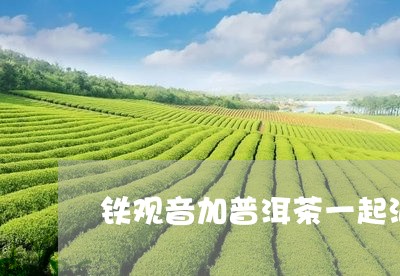 铁观音加普洱茶一起泡/2023061452814