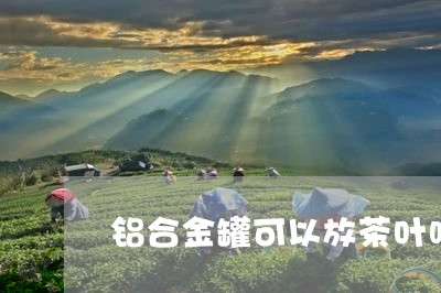 铝合金罐可以放茶叶吗/2023061204828