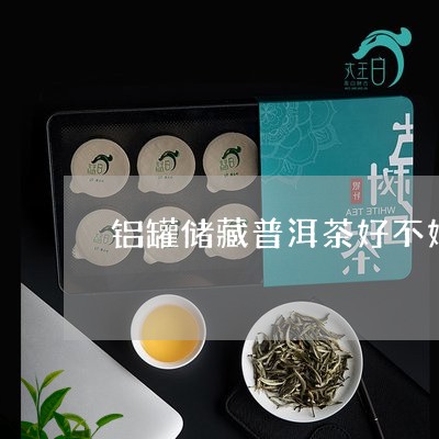 铝罐储藏普洱茶好不好喝/2023081404815