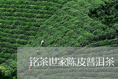 铭茶世家陈皮普洱茶/2023091566259