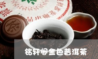 铭轩阁金色普洱茶/2023101664846