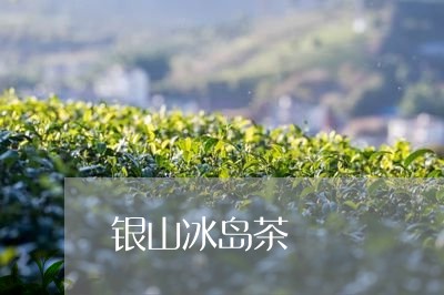 银山冰岛茶/2023041831716