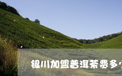 银川加盟普洱茶费多少/2023092569684