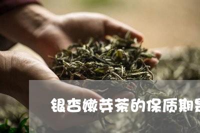 银杏嫩芽茶的保质期是多少/2023051116270