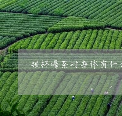 银杯喝茶对身体有什么好处/2023051175057