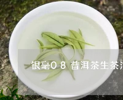 银毫08普洱茶生茶沱/2023062327192