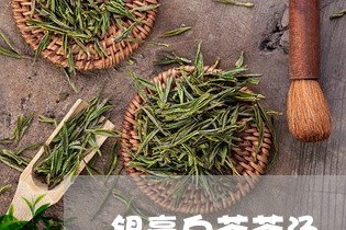 银毫白茶茶汤/2023052441616