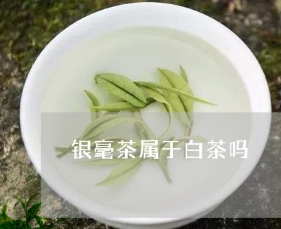 银毫茶属于白茶吗/2023071325838