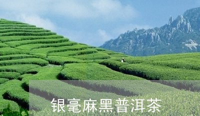 银毫麻黑普洱茶/2023102690848