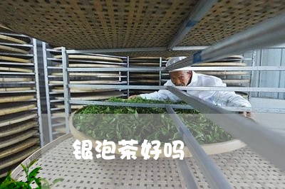 银泡茶好吗/2023090203716