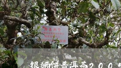 银狮饼普洱茶2005/2023100659482