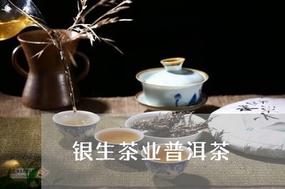 银生茶业普洱茶/2023112616340