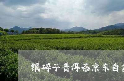 银碎子普洱茶京东自营/2023062050505