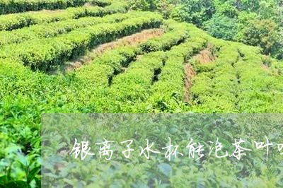 银离子水杯能泡茶叶吗/2023071638592