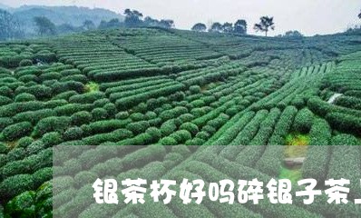 银茶杯好吗碎银子茶上火不/2023051176137